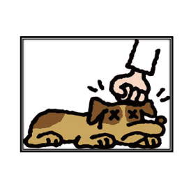 どうして犬のしつけが必要なのか